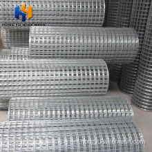 Lasted Iron Wire Mesh 50x50 Prijs te koop